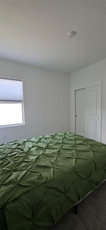 299 Bottle Brush Drive - Photo 15