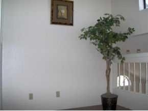 11376 Tenaha Avenue - Photo 3