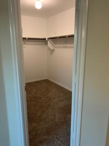 1008 Emerald Drive - Photo 11