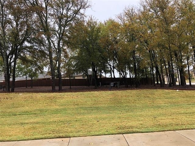 1008 Emerald Drive - Photo 14