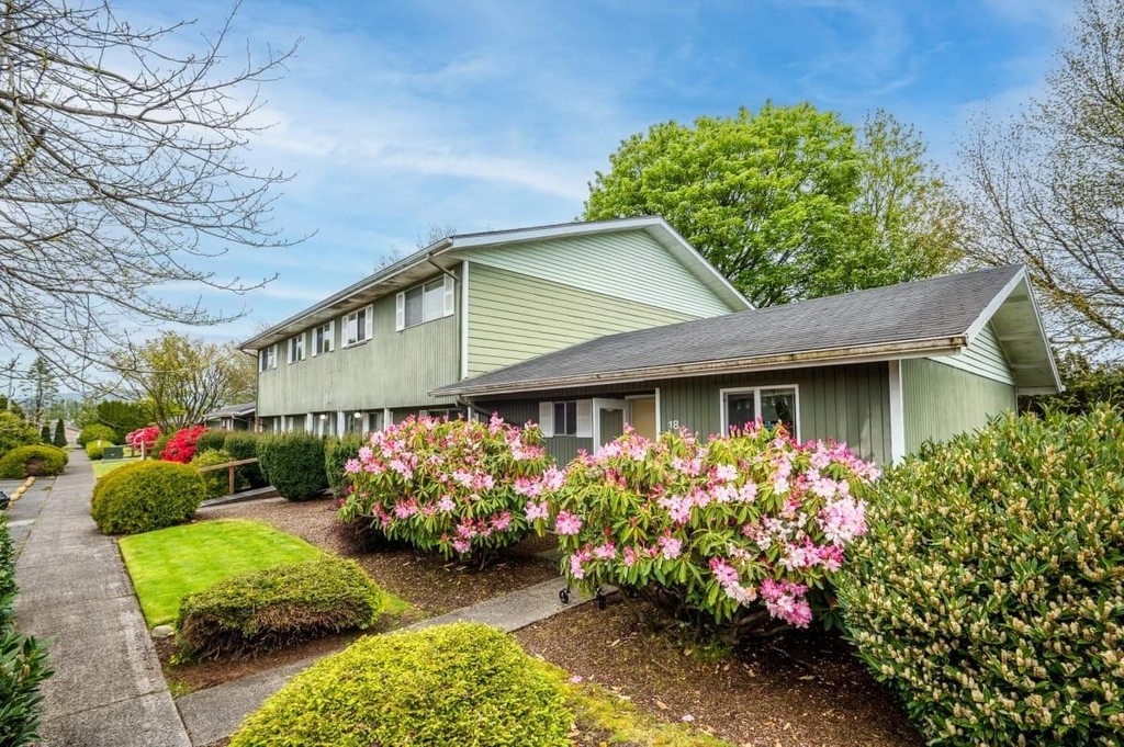 804 Chestnut Dr - Photo 4