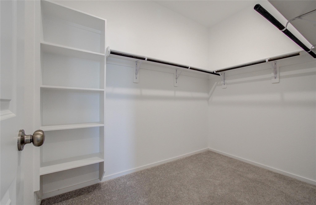 26514 Foxtail Fern Drive - Photo 17