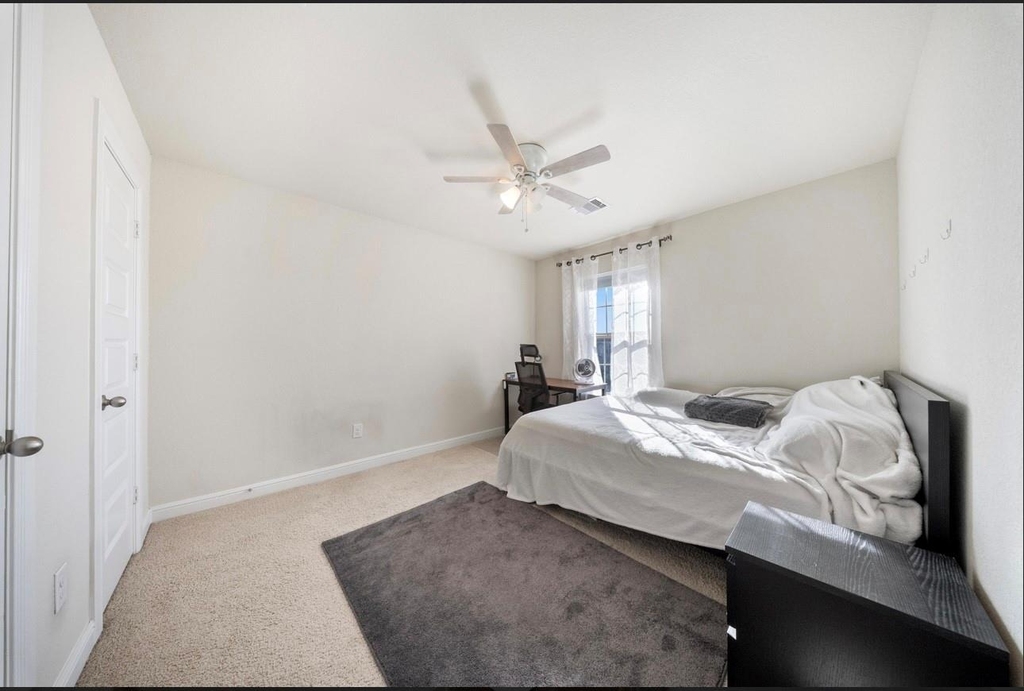 18106 Alora Spring Trace - Photo 21