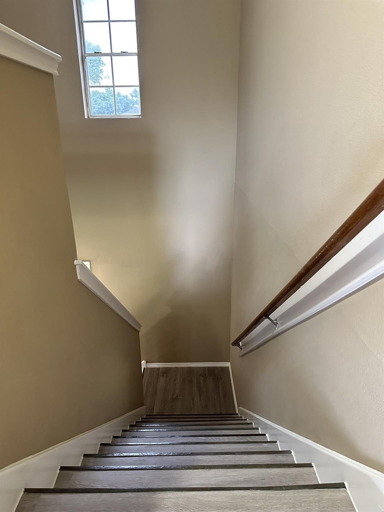 6910 Bayou Crest Drive - Photo 8