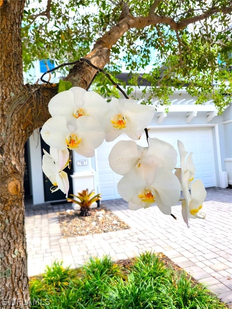 6954 Avalon Circle - Photo 16