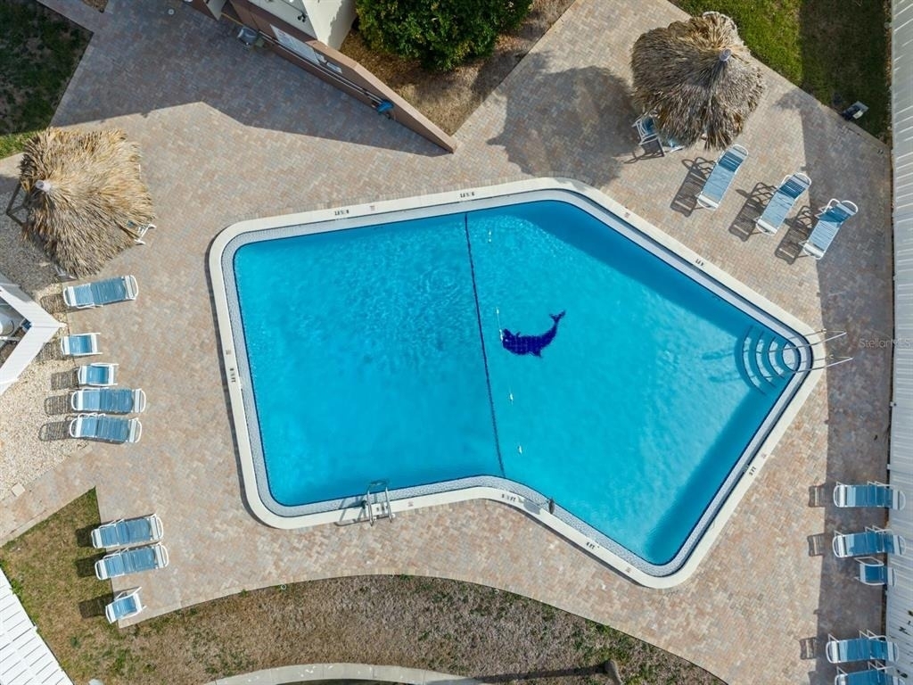 255 Dolphin Point - Photo 3