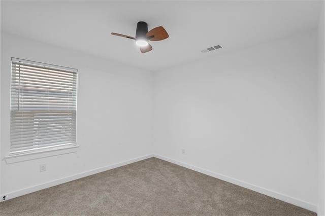 2217 Sayle Street - Photo 12