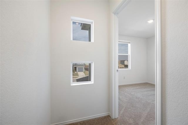 209 Boxberry Way - Photo 14