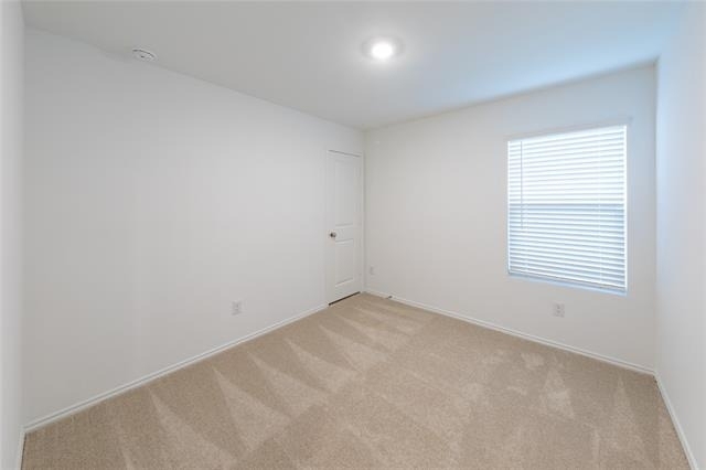230 Sunflower Street - Photo 6