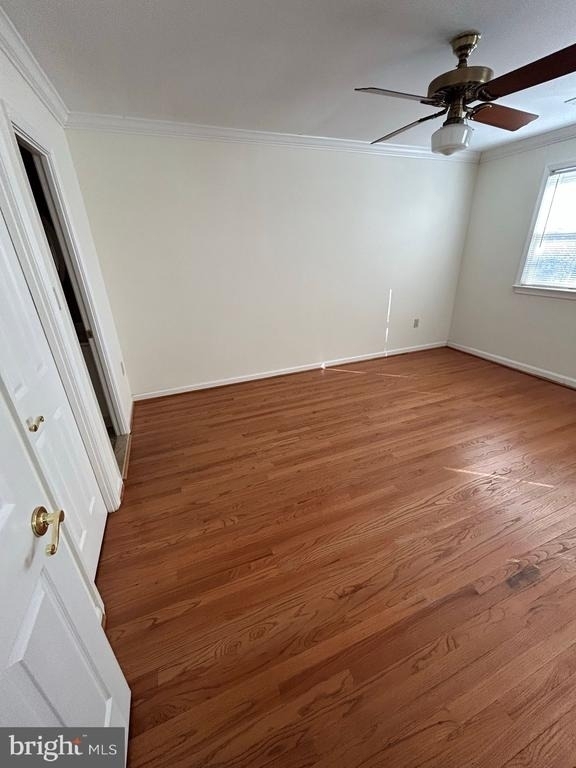 3301 Spring Lane - Photo 8