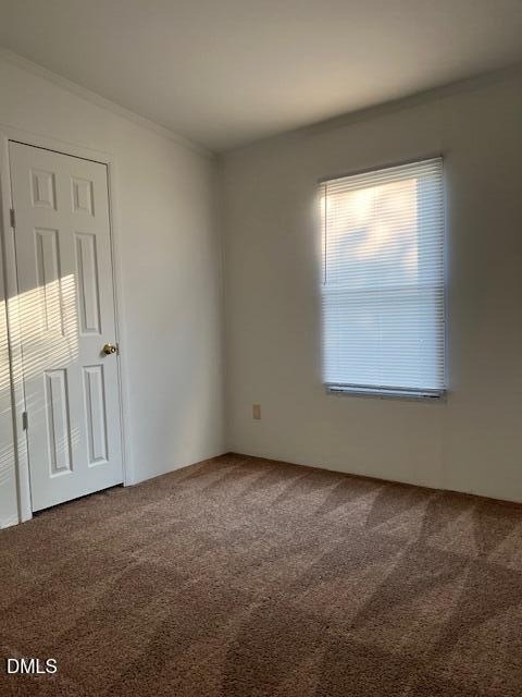2310 Black Creek Road - Photo 9