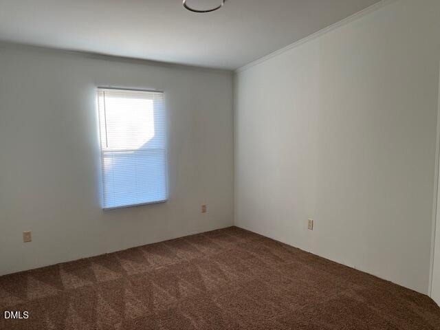 2310 Black Creek Road - Photo 8