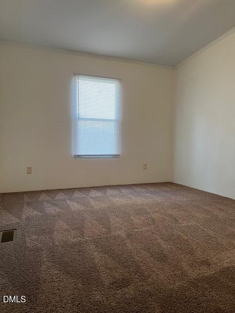 2310 Black Creek Road - Photo 11