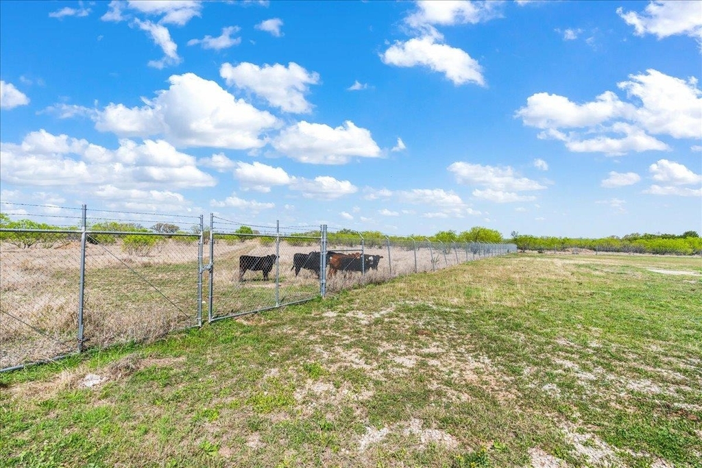 300 County Road 407 - Photo 30