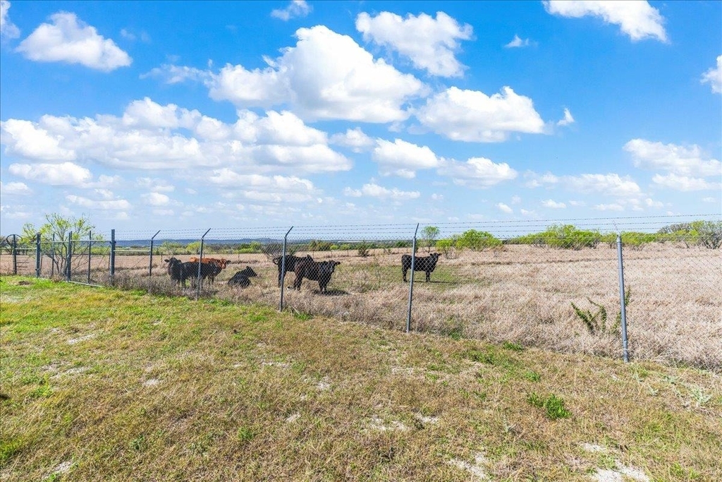 300 County Road 407 - Photo 29
