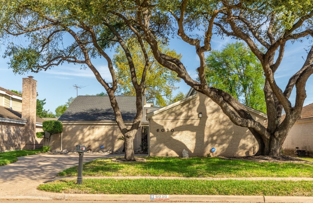6030 Gallant Forest Drive - Photo 12