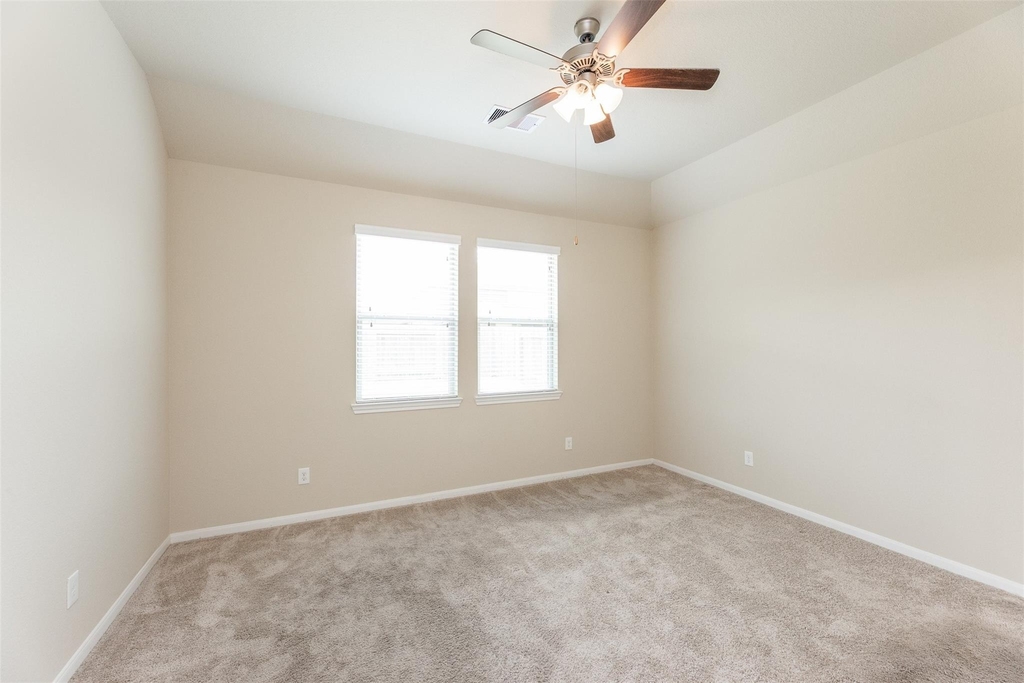 16915 Sedum Green - Photo 13