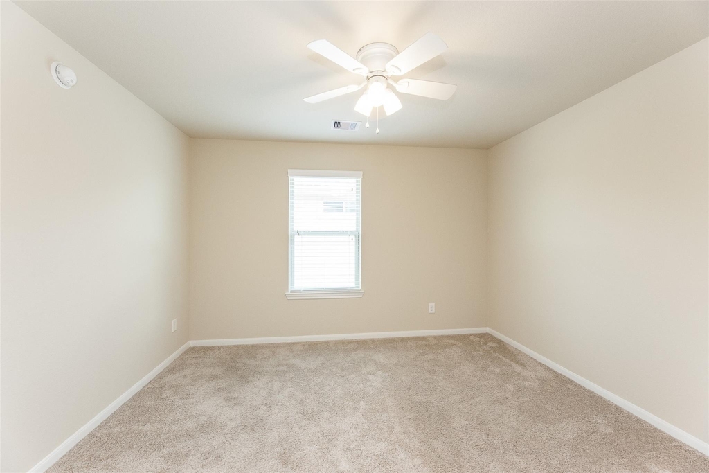 16915 Sedum Green - Photo 23