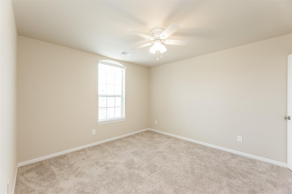 16915 Sedum Green - Photo 22