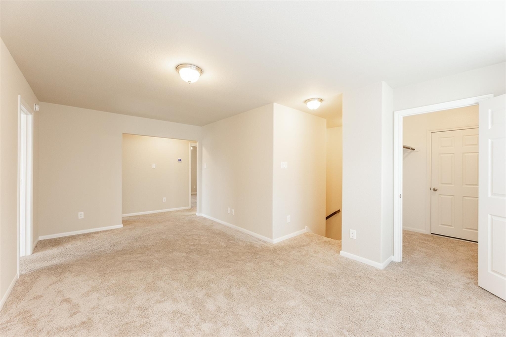 16915 Sedum Green - Photo 19
