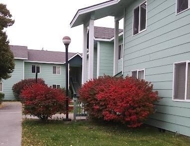 209 Canyon Street - Photo 9