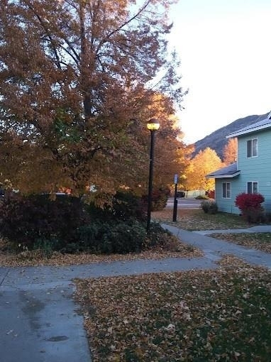 209 Canyon Street - Photo 11