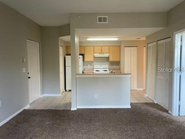 10831 Windsor Walk Drive - Photo 1
