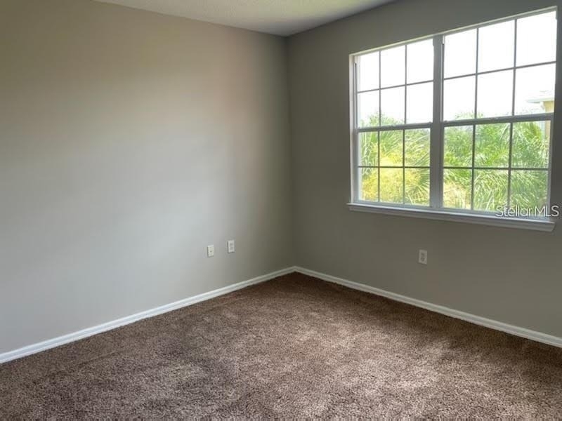 10831 Windsor Walk Drive - Photo 3