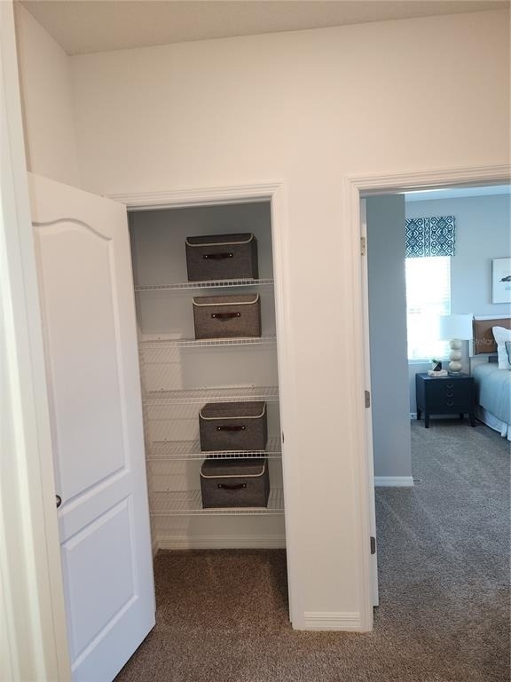 645 Astera Winds Lane - Photo 35