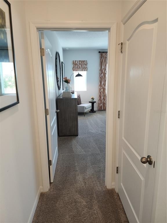 645 Astera Winds Lane - Photo 18