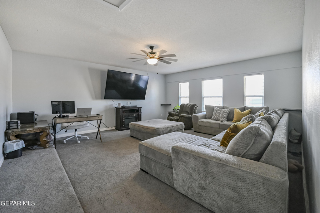 12732 Tierra Salas Drive - Photo 11