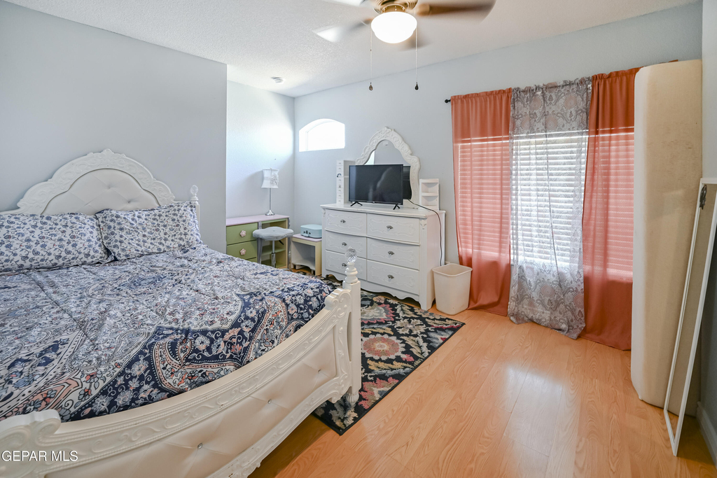 12732 Tierra Salas Drive - Photo 15