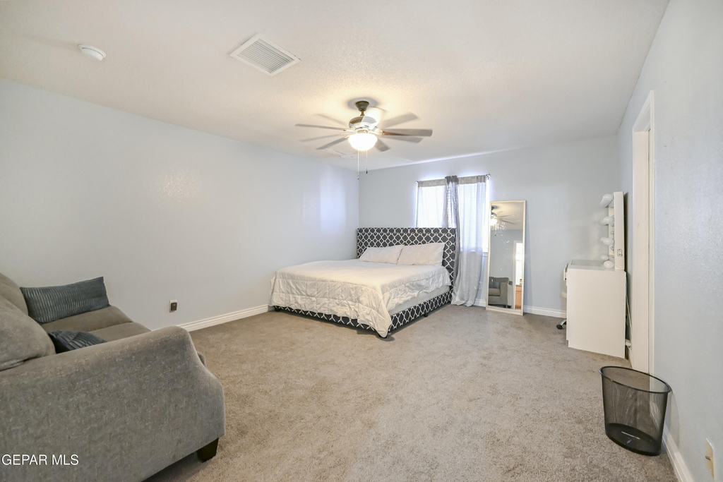 12732 Tierra Salas Drive - Photo 13