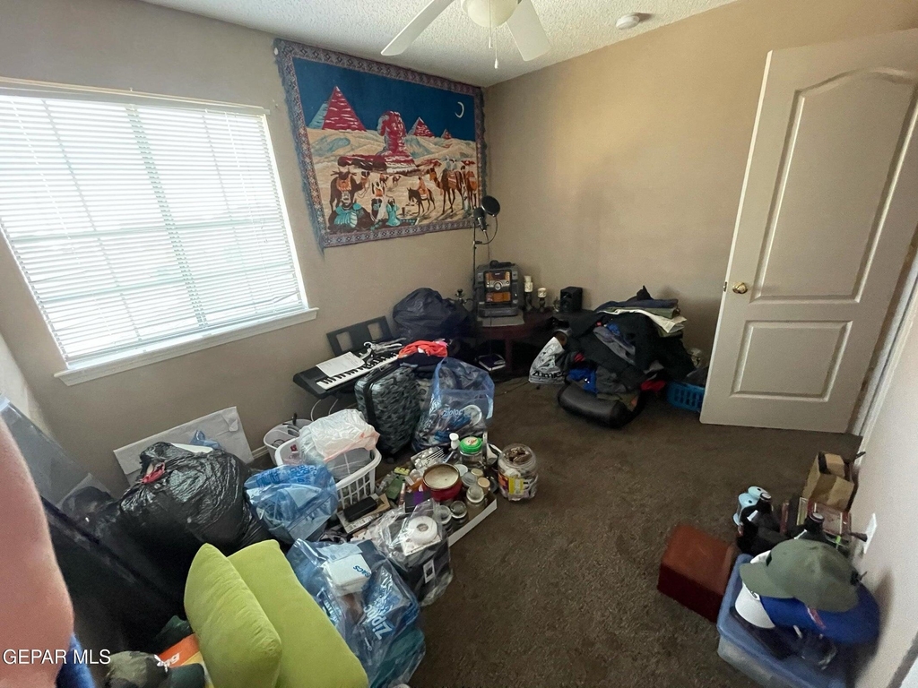 11749 Mesquite Miel Drive - Photo 8