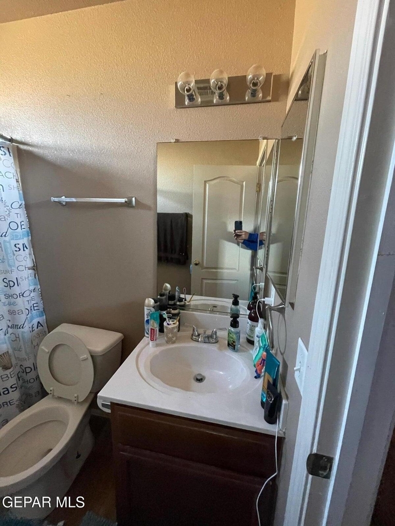 11749 Mesquite Miel Drive - Photo 12
