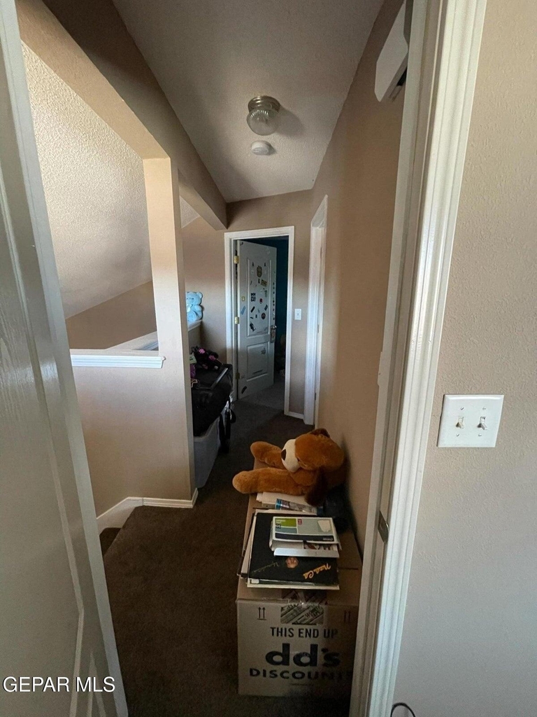 11749 Mesquite Miel Drive - Photo 10