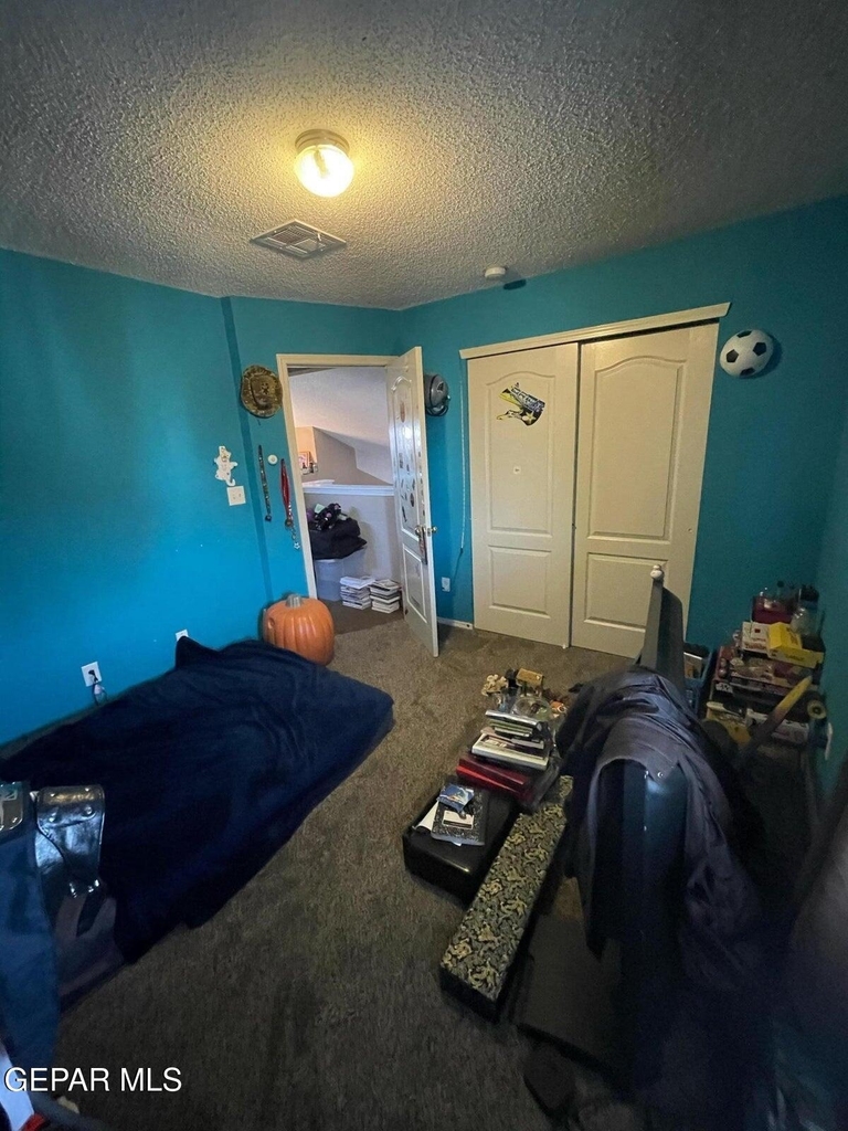 11749 Mesquite Miel Drive - Photo 14