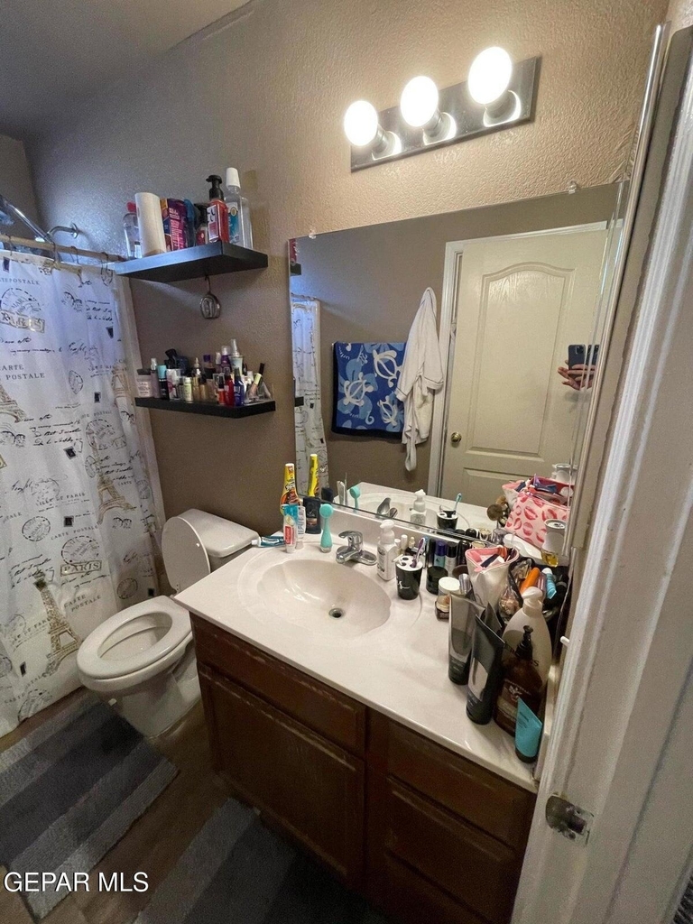 11749 Mesquite Miel Drive - Photo 18