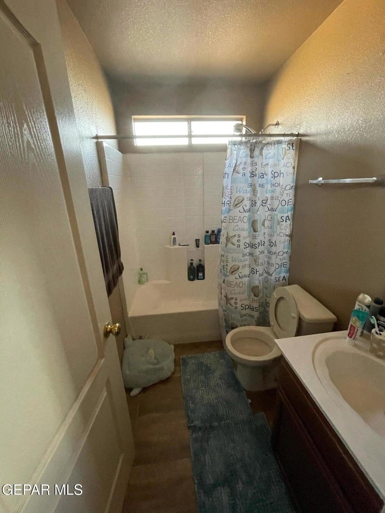 11749 Mesquite Miel Drive - Photo 11
