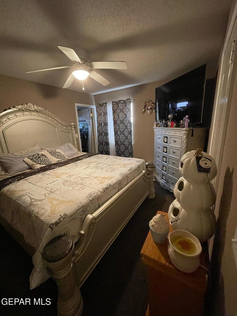 11749 Mesquite Miel Drive - Photo 19