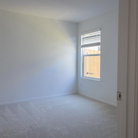 1012 Mountain Laurel Road - Photo 9