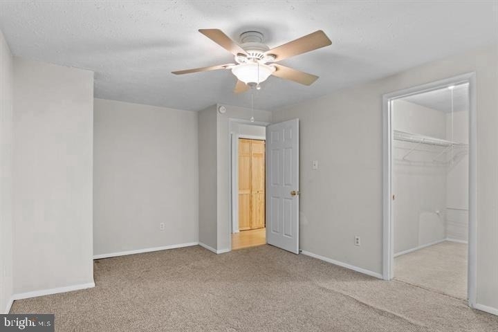 8406 Rainbow Bridge Lane - Photo 5