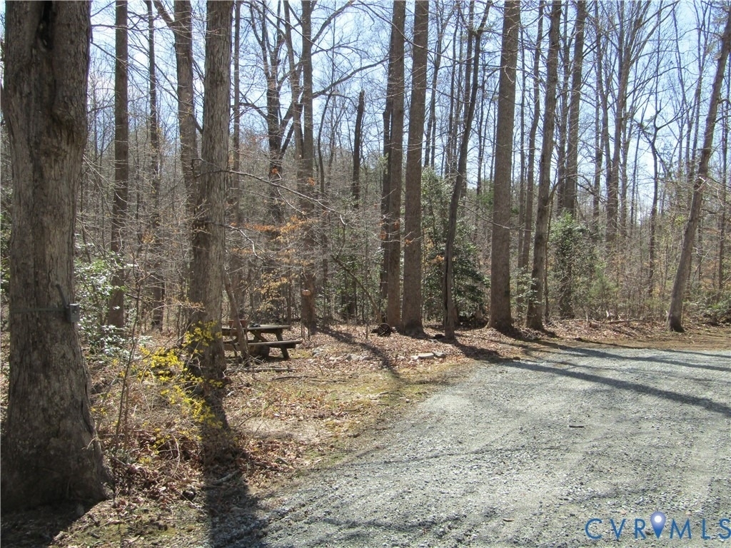5705 Community House Road - Photo 4