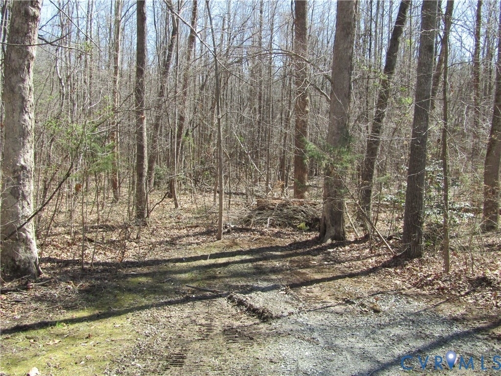 5705 Community House Road - Photo 6