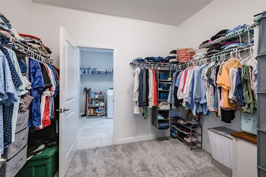 31565 Cannon Rush Drive - Photo 19