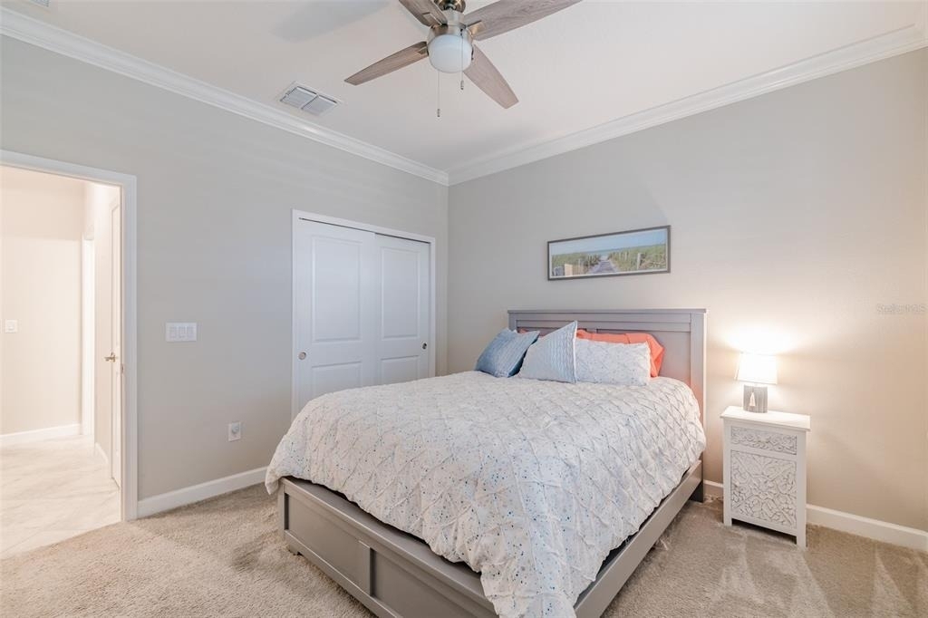 31565 Cannon Rush Drive - Photo 12