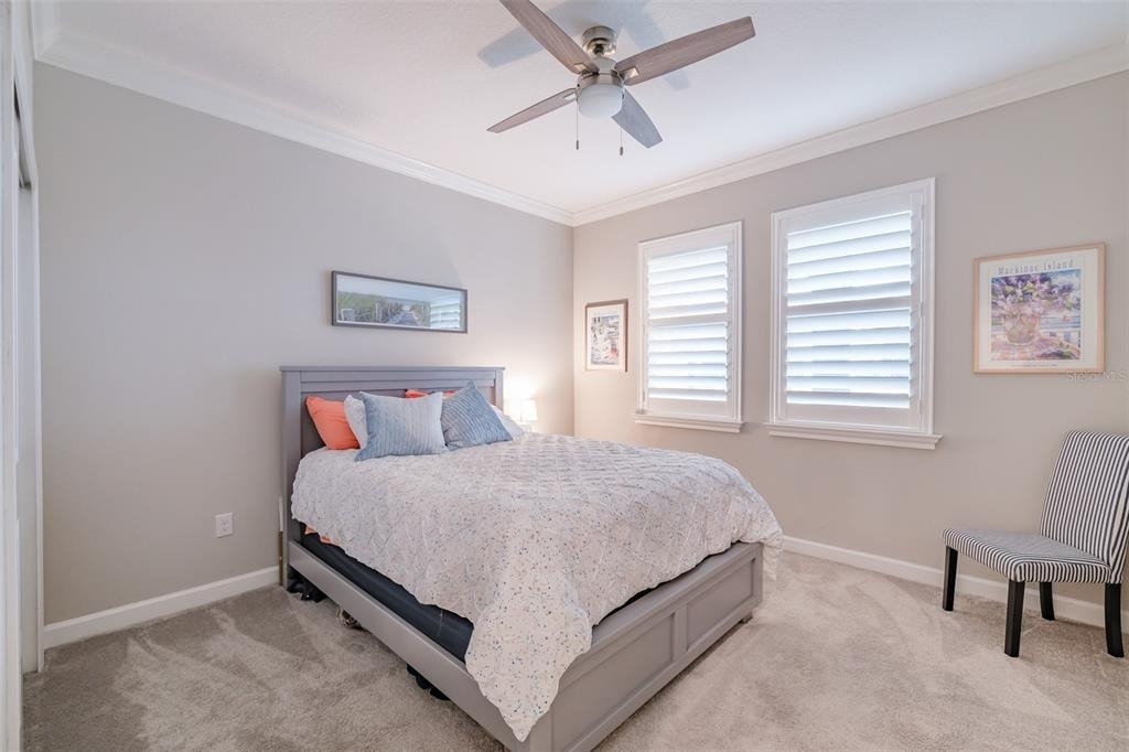 31565 Cannon Rush Drive - Photo 11