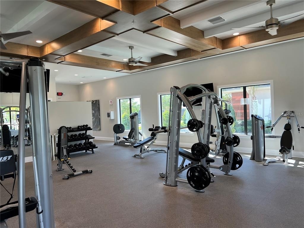 31565 Cannon Rush Drive - Photo 32