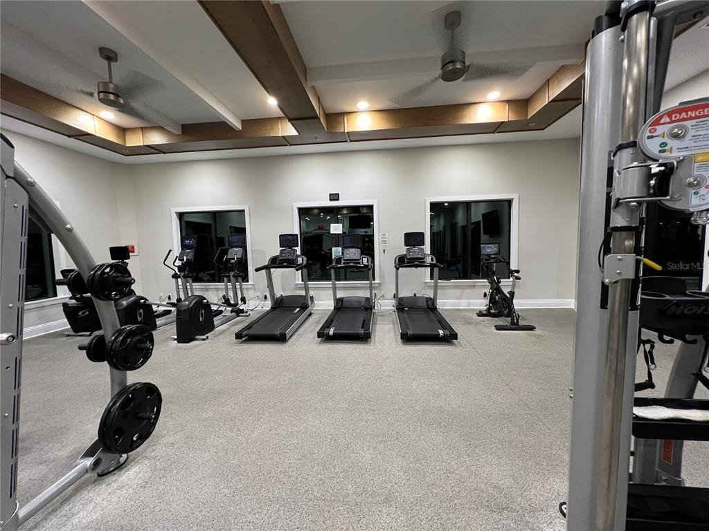 31565 Cannon Rush Drive - Photo 36