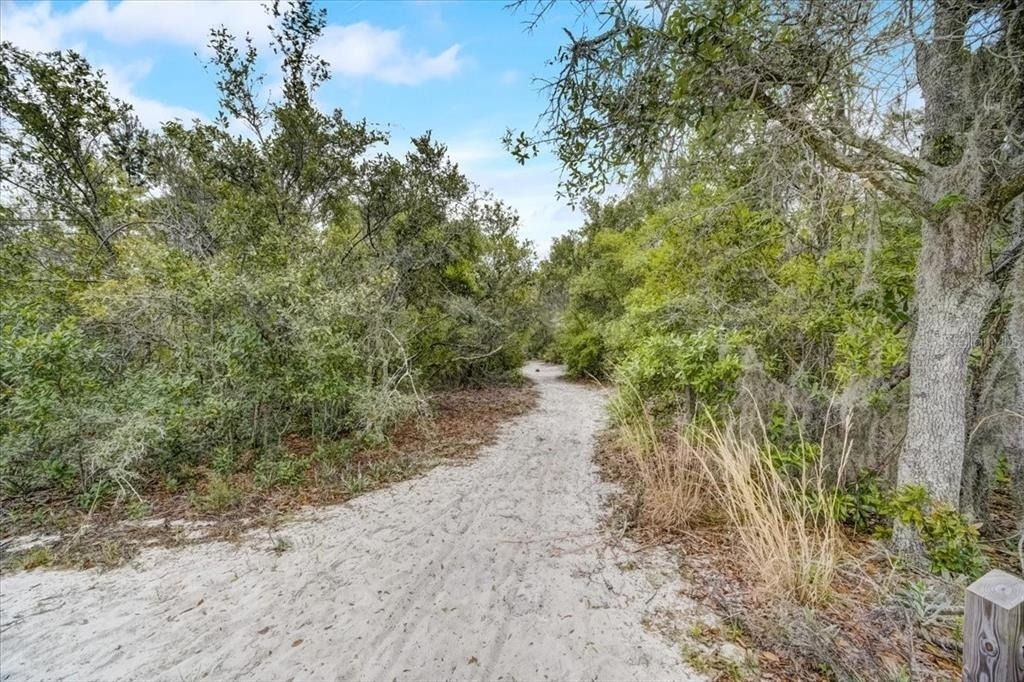 7233 Branchtree Drive - Photo 56
